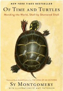 کتاب علمی برتر از زمان و لاک‌پشت‌ها